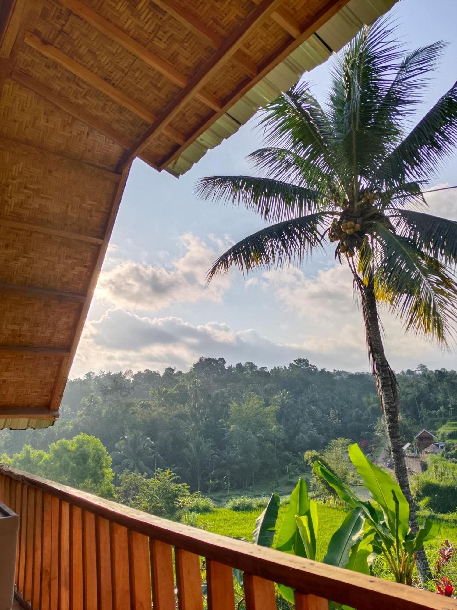 Dewi Rinjani Homestay Tetebatu Dış mekan fotoğraf
