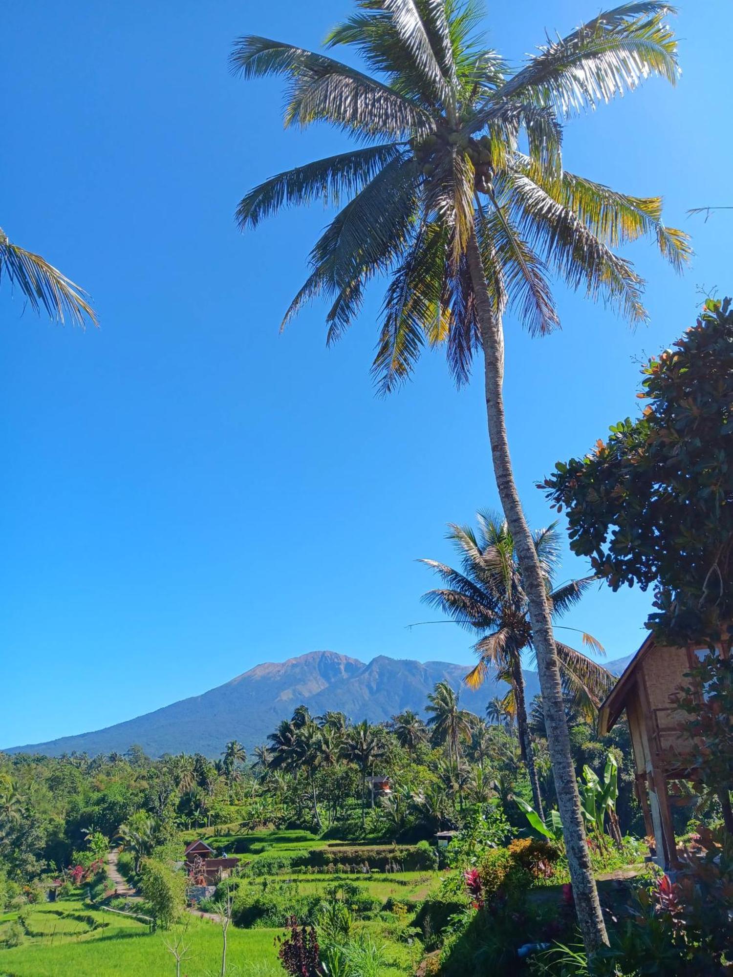 Dewi Rinjani Homestay Tetebatu Dış mekan fotoğraf