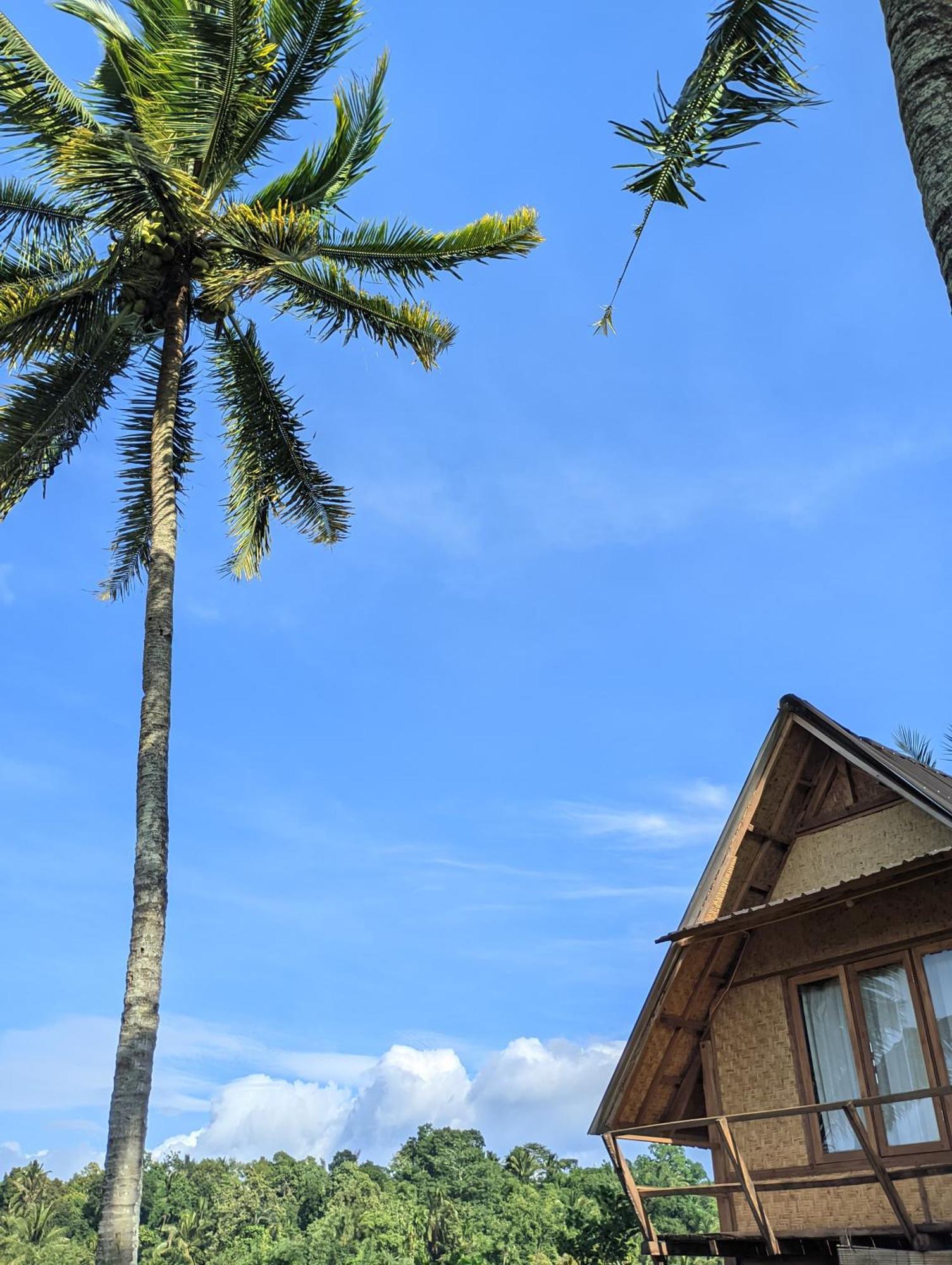 Dewi Rinjani Homestay Tetebatu Dış mekan fotoğraf
