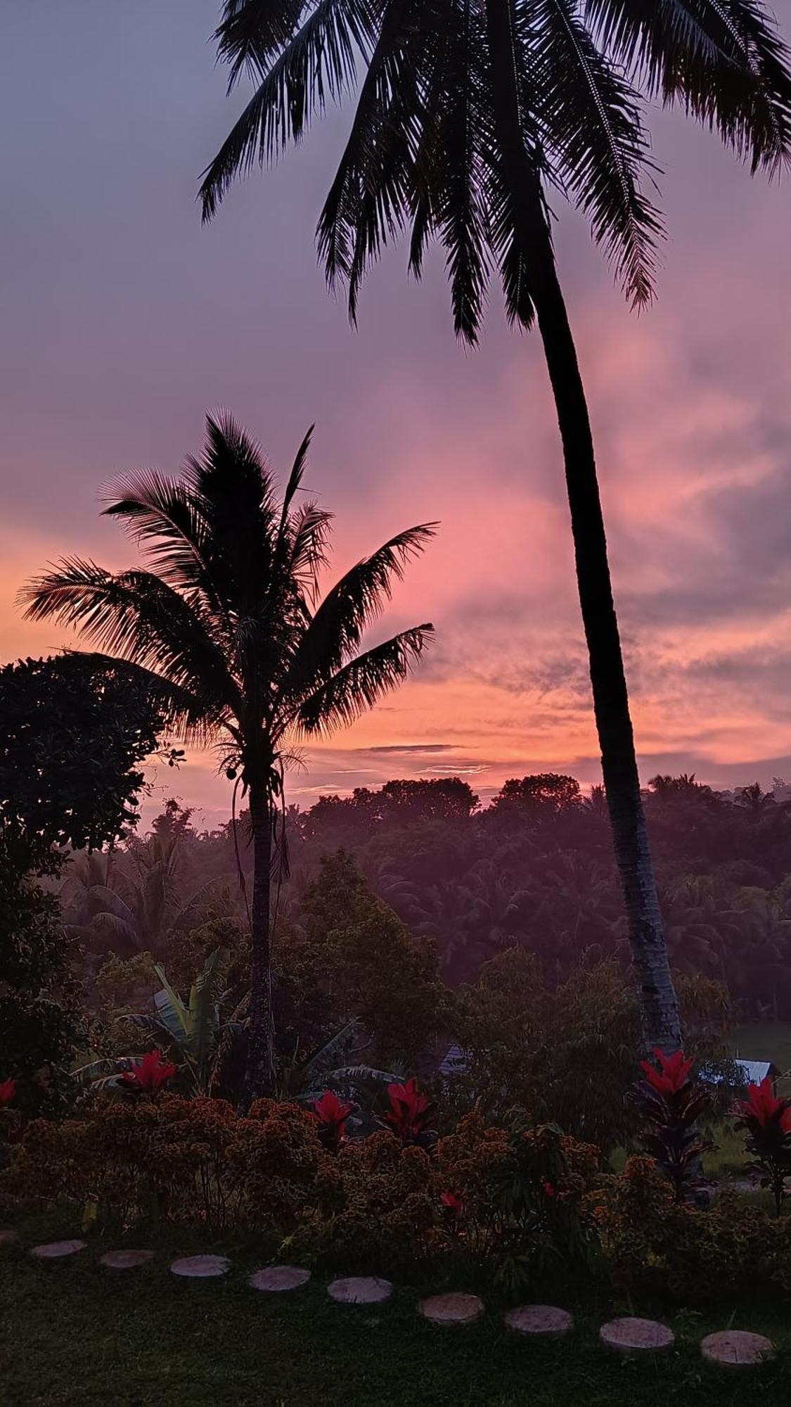 Dewi Rinjani Homestay Tetebatu Dış mekan fotoğraf