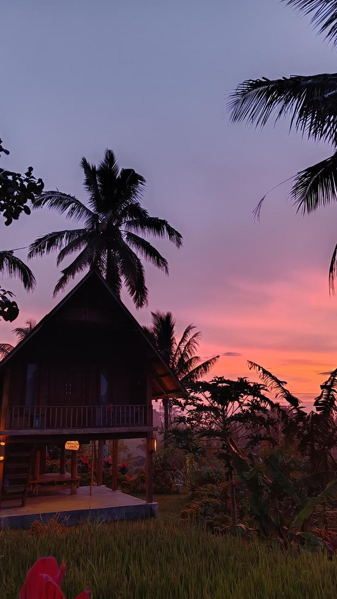 Dewi Rinjani Homestay Tetebatu Dış mekan fotoğraf